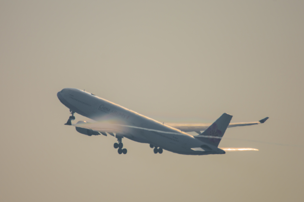 D7200とシグマ150-600contemporary・・・5