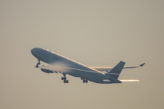 D7200とシグマ150-600contemporary・・・5