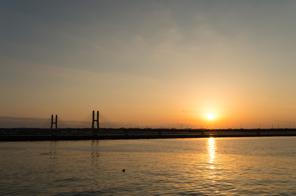 もったいない・・・