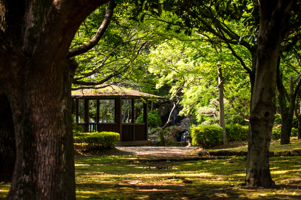 光綾公園