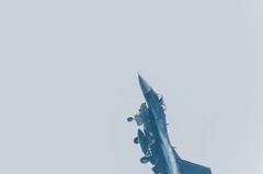 ドッグファイト