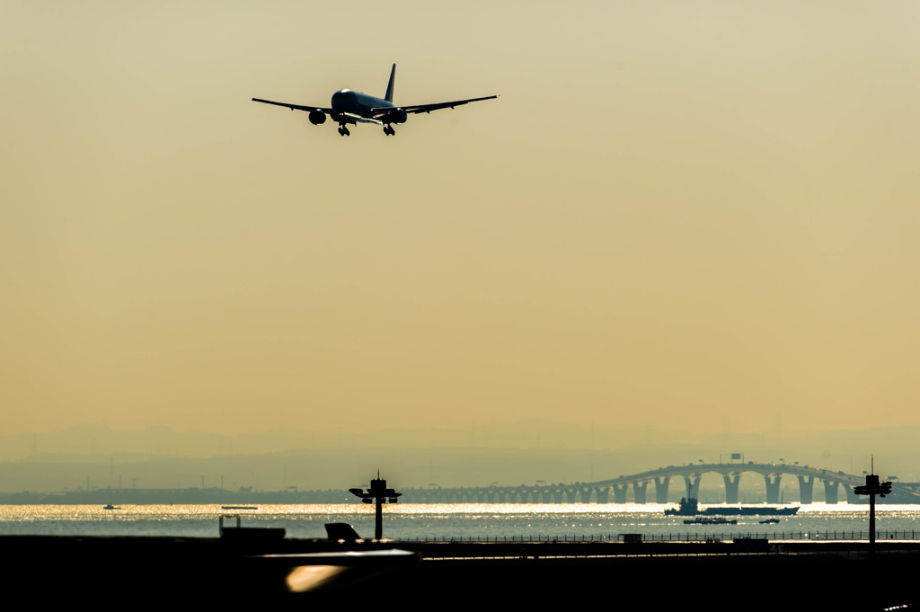 白鳥捜査・・・14