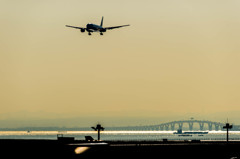 白鳥捜査・・・14