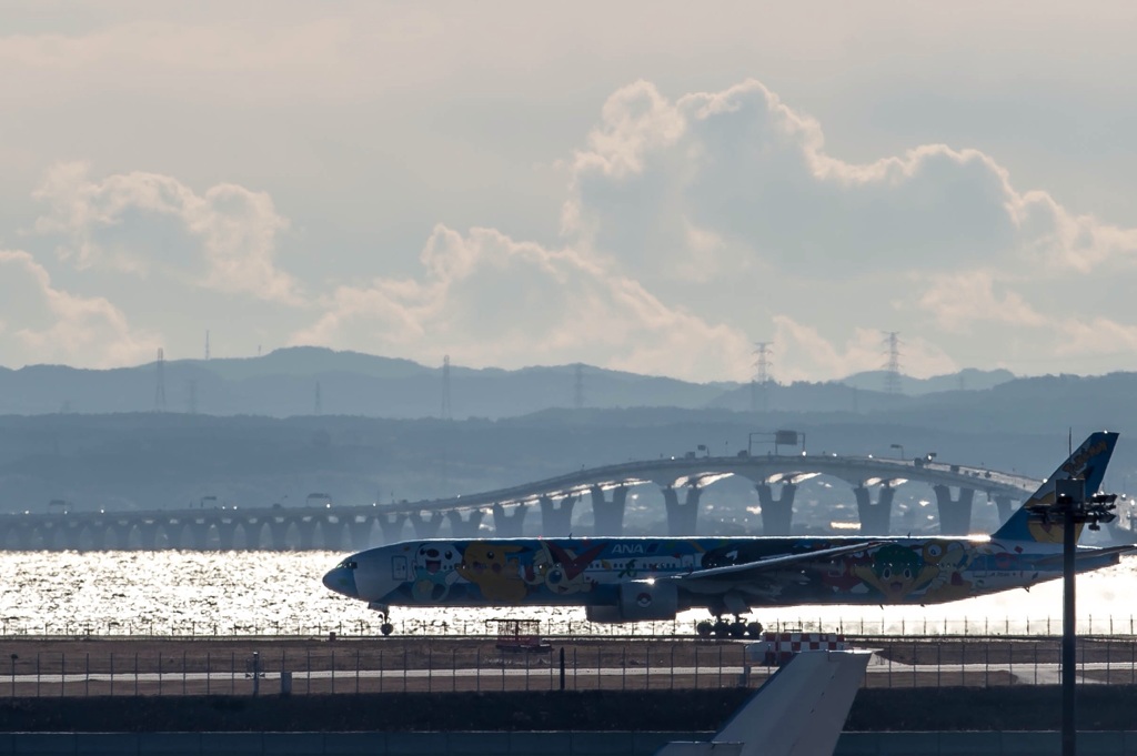 いつか君も・・・2