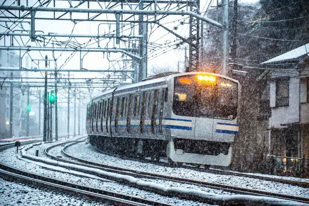 犬の様に・・・2