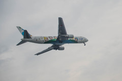 城南島物語　夢ジェット　B767