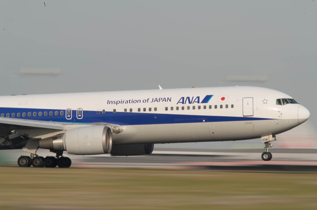 ANA　B767