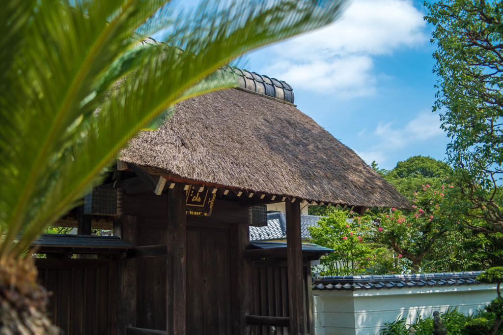 徳翁寺