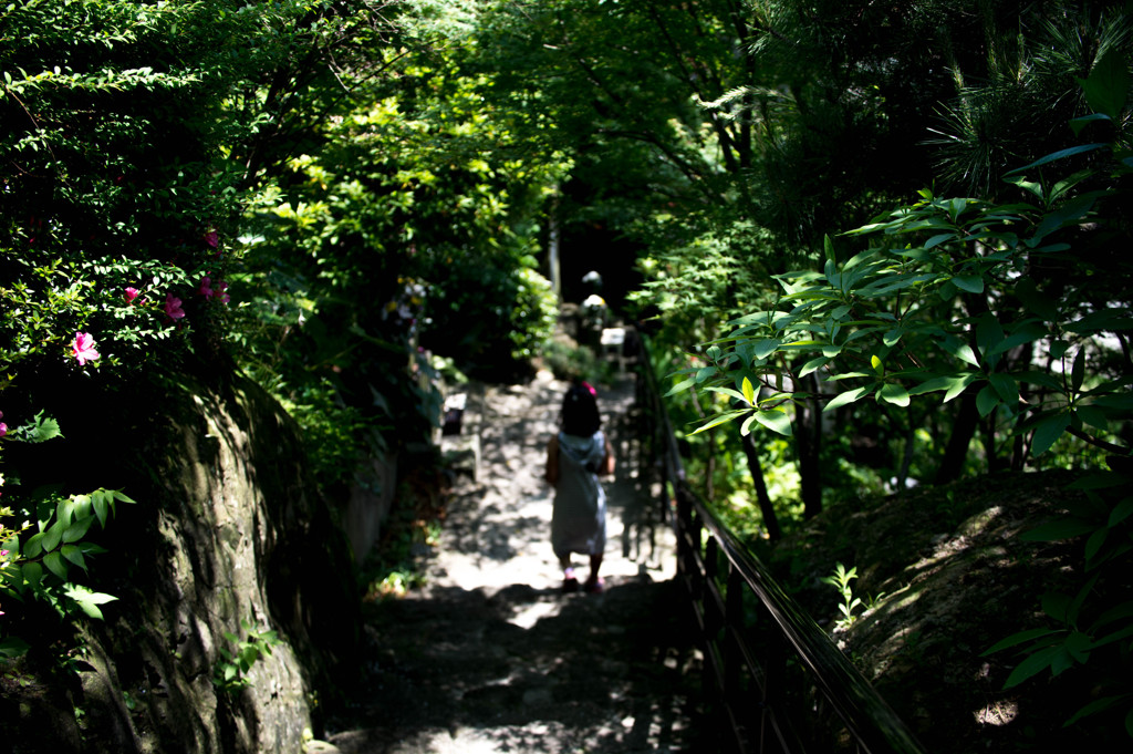 ファイナルラウンド　お題　娘　撮影者パパ