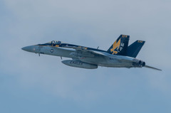 ＃300　VFA-115 Eagles