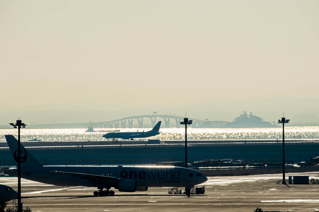 白鳥捜査・・・4