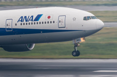 Typhoon19・・・31