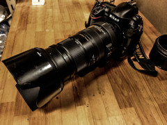 帰って来ました！