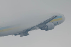 トリミングしまｽﾀ(^_^;)