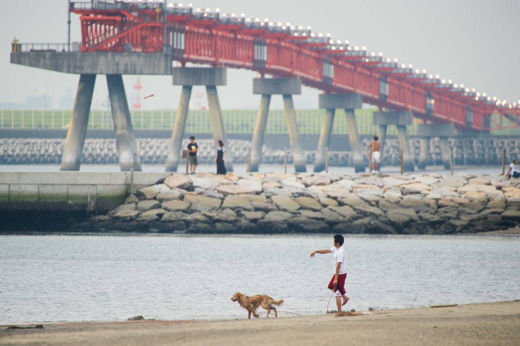 城南島ものがたり・・・4