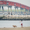 城南島ものがたり・・・4