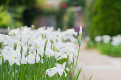 なくなってしまったのか？