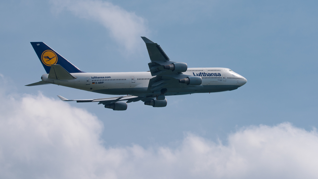 流布人はん、ドイツへ・・・