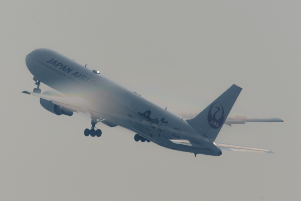 D7200とシグマ150-600contemporary・・・8