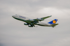 流布人はん日本を発つ！！