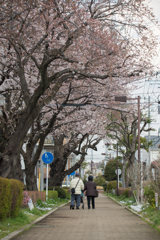 お前百までわしゃ九十九まで 