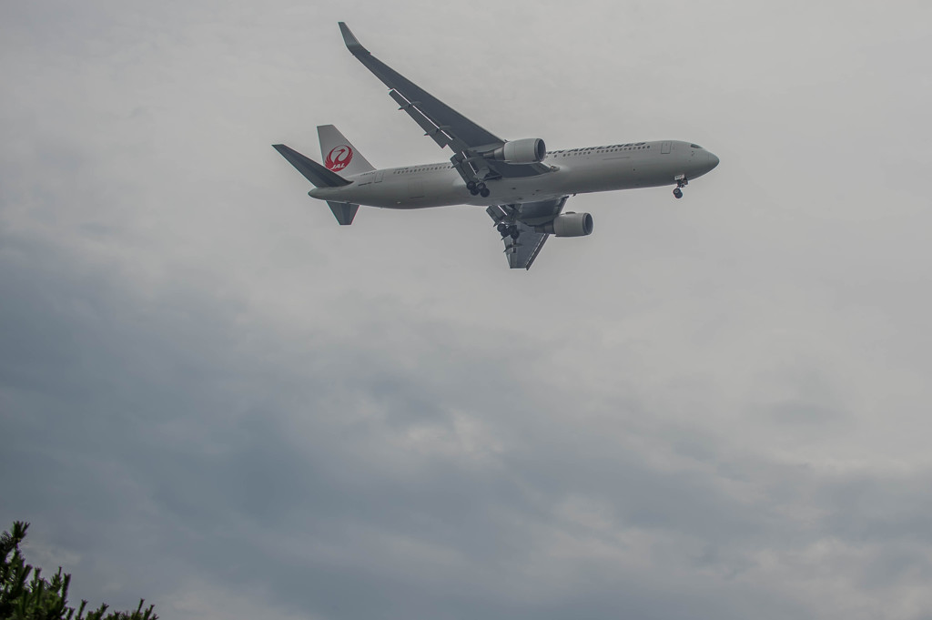 城南島物語　JAL　B767