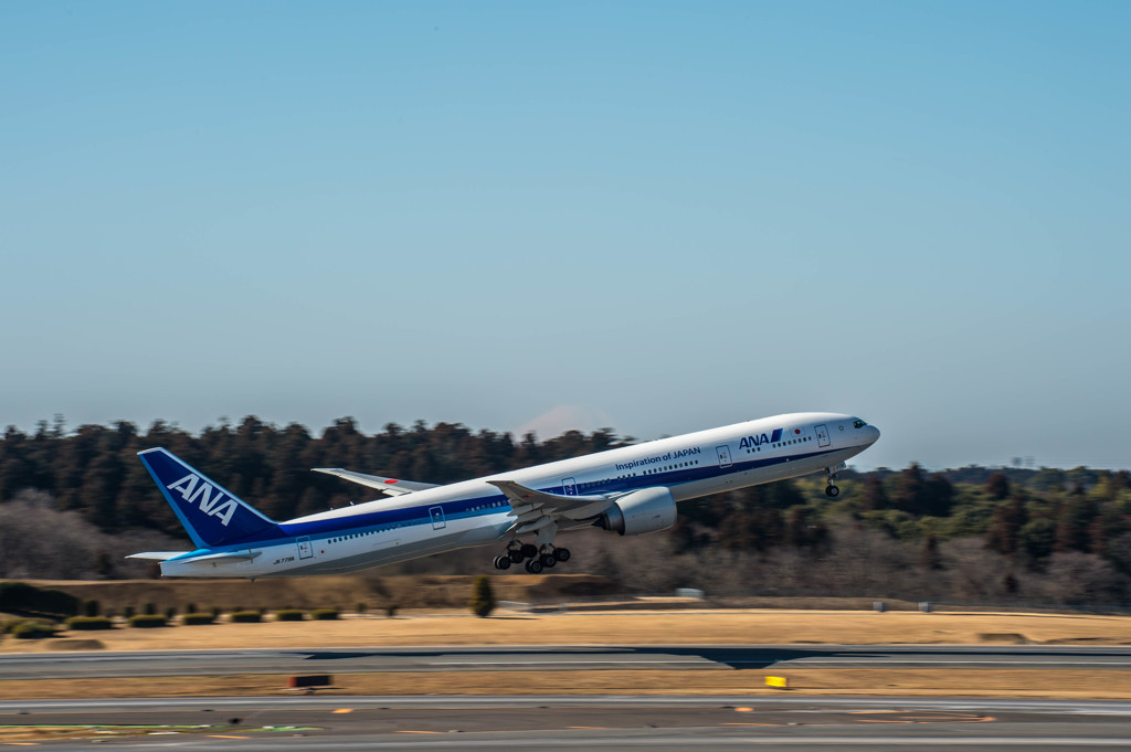 赤い華ラストフライト・・・13