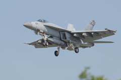 ＃404　VFA-195　Dambusters
