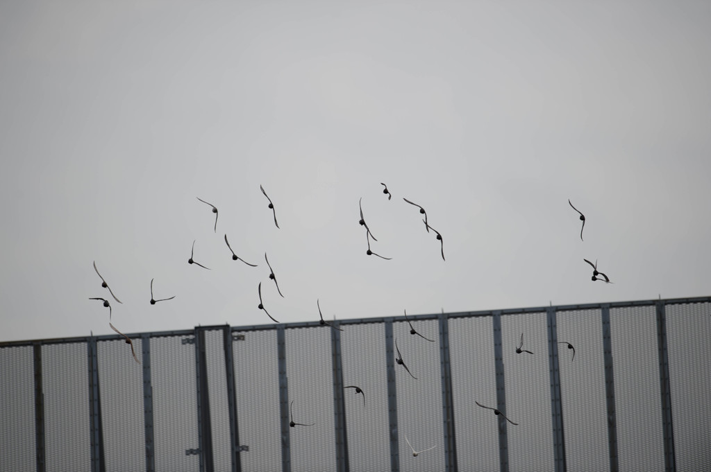 バーン(ﾟдﾟ)！　なんだ？