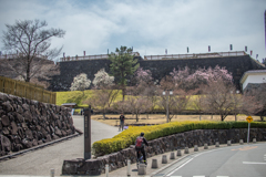 舞鶴城公園・・・