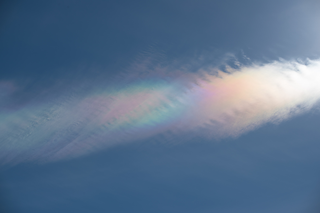 PRISM