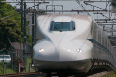 金網越し・・・