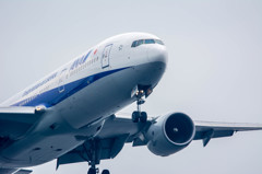 城南島物語　ANA　B777