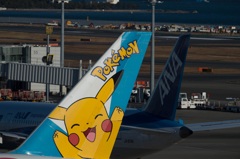 いつか君も・・・