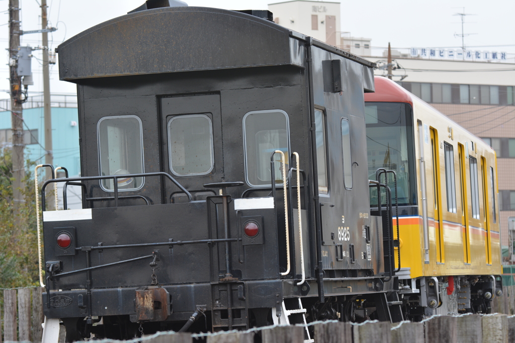 ヨ！無事だったんだね！