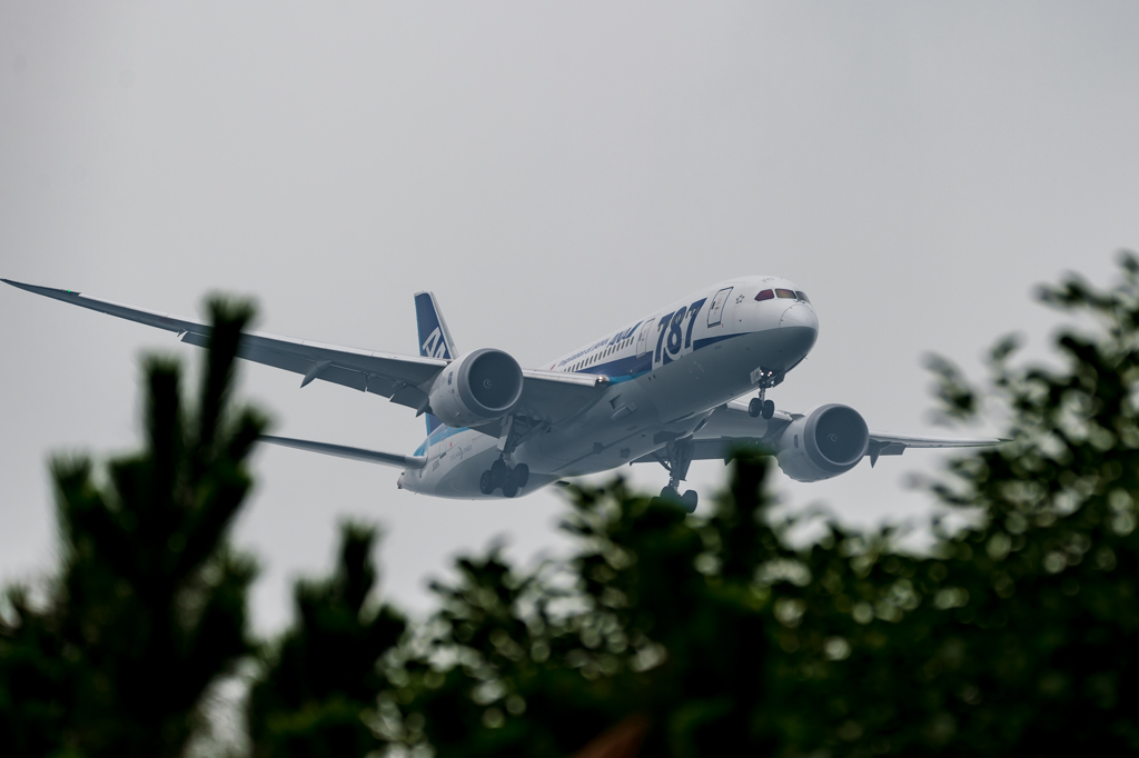 城南島ものがたり・・・1