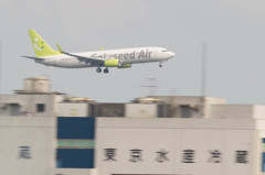 野鳥公園にて　13