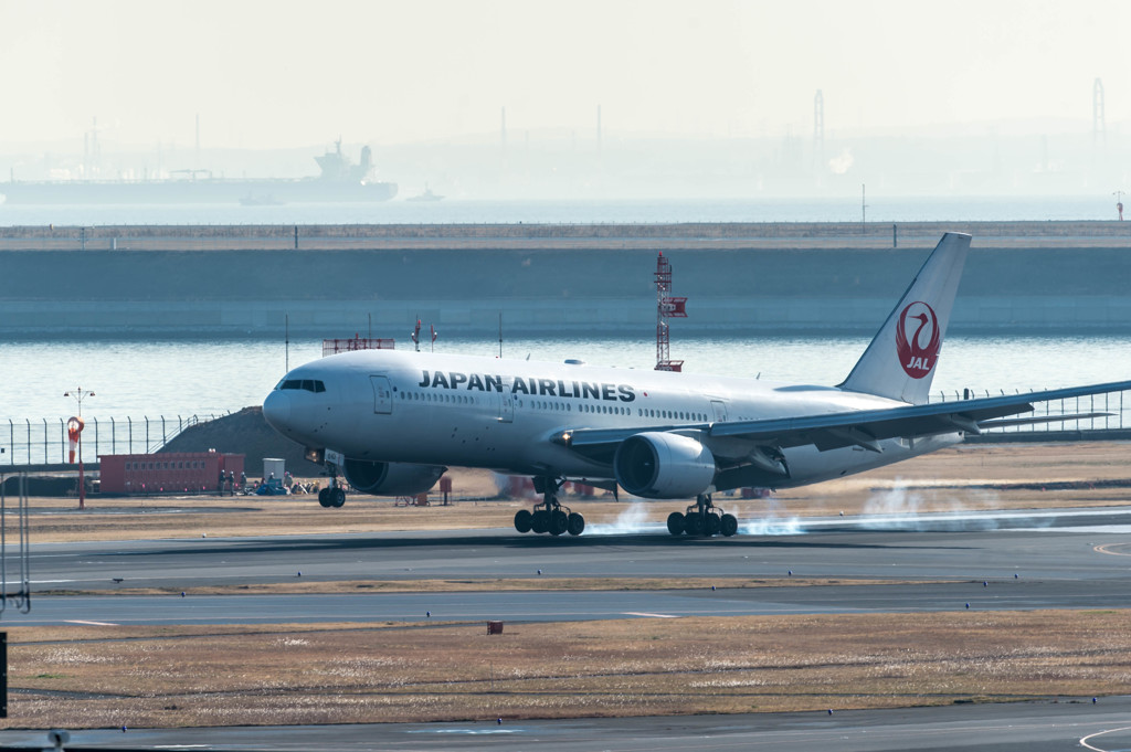 白鳥捜査・・・15