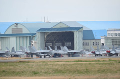 何機いるかな・・・・・・・・？