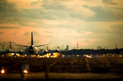 どっちが好きなの？