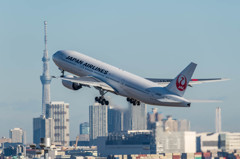 スカイツリーと777