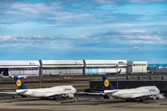 君といつまでも・・・