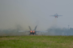 芝生にピンが・・・