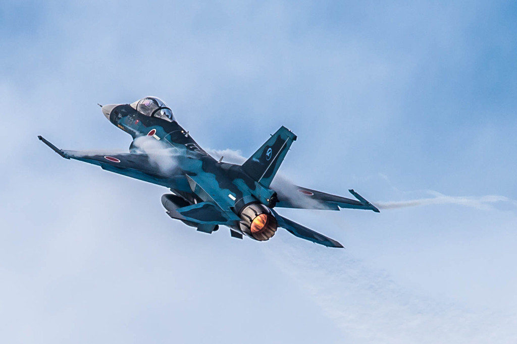 AF-S NIKKOR 800mm f/5.6E FL ED VR
