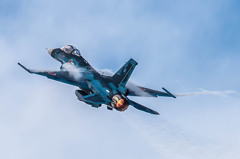 AF-S NIKKOR 800mm f/5.6E FL ED VR