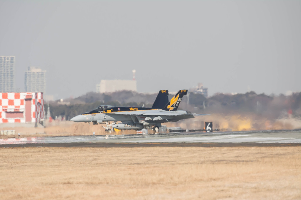 ＃300　第115戦闘攻撃飛行隊 (VFA-115）Eagles