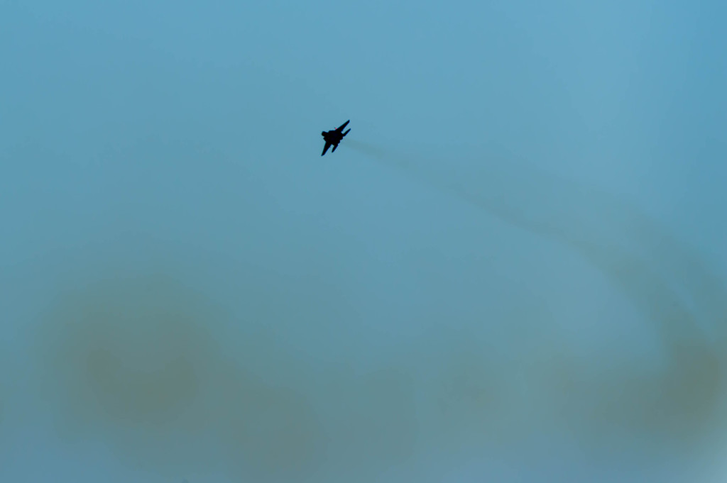 ヽ〔ﾟДﾟ〕丿ｽｺﾞｲ