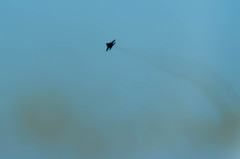 ヽ〔ﾟДﾟ〕丿ｽｺﾞｲ