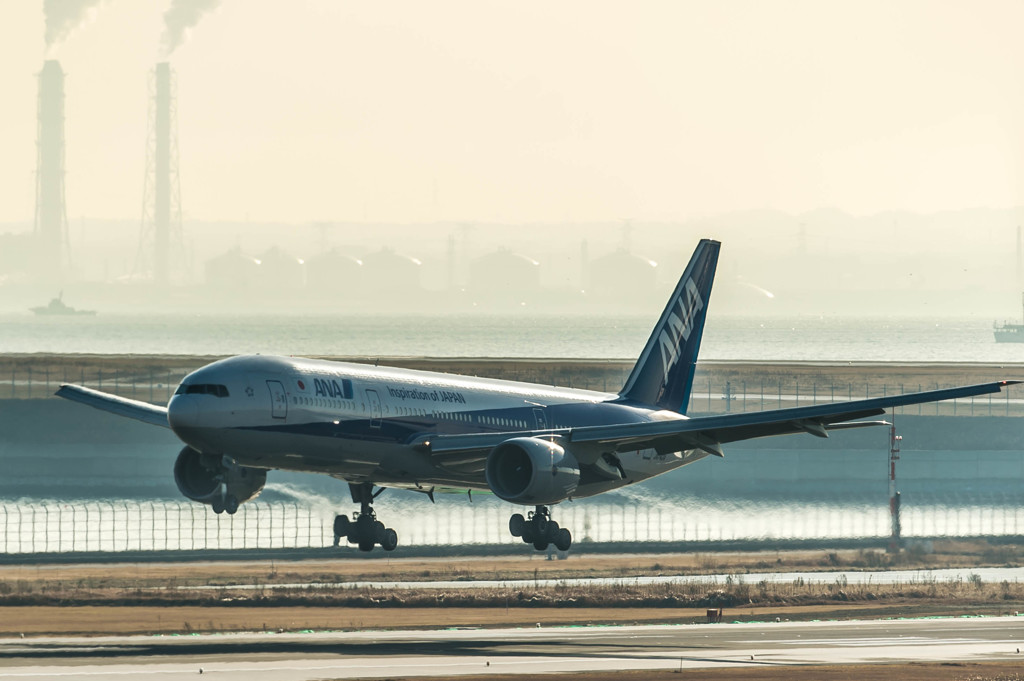 白鳥調査・・・1