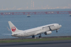 JAL　B737